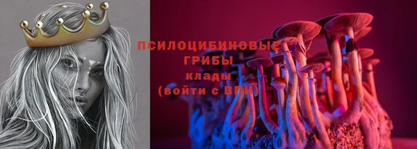 мяу мяу мука Аркадак
