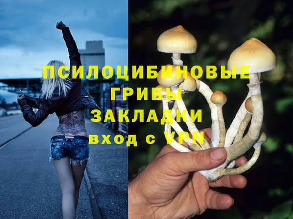 прущий лед Чердынь