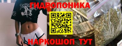 индика Обнинск