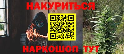 индика Обнинск