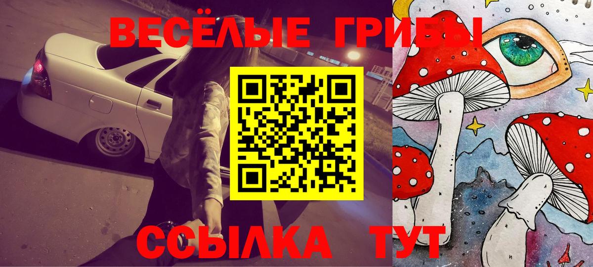 Псилоцибиновые грибы Magic Shrooms Сочи
