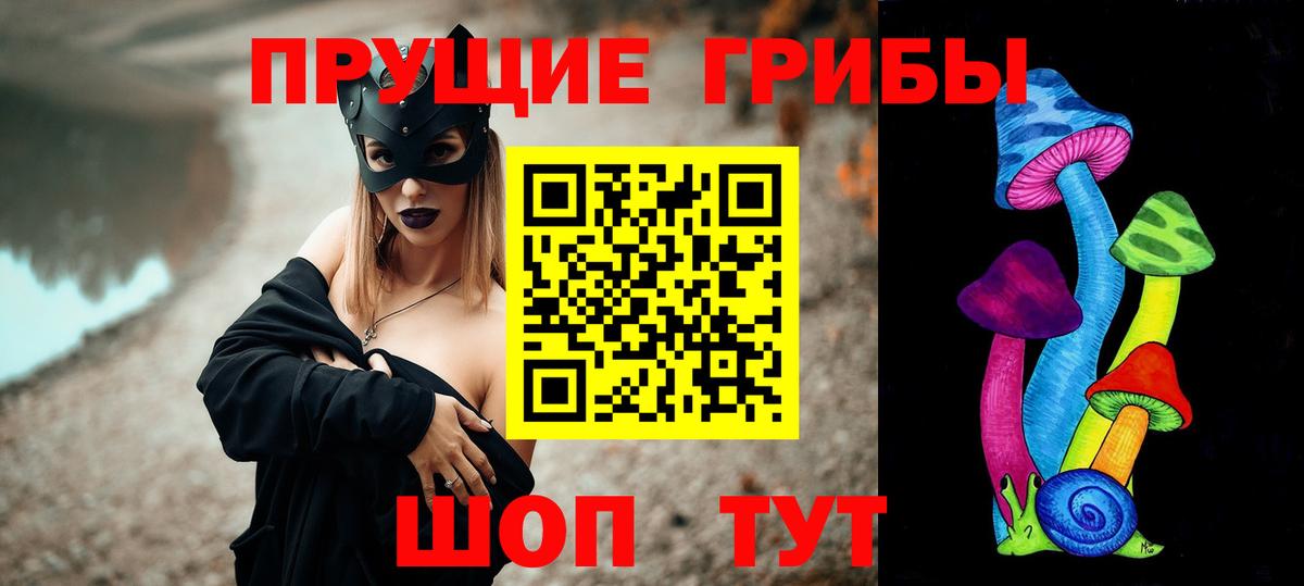 Сочи  Псилоцибиновые грибы Psilocybe  наркошоп  Вход с VPN 
